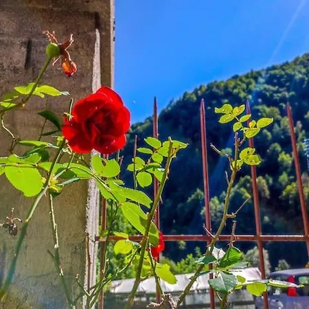 بيت للعطل Casa San Rocco - Alps Views